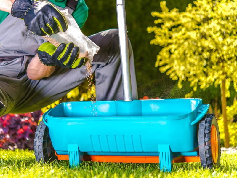 turf-by-gardener