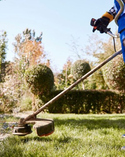 landscaping-and-lawn-care-services